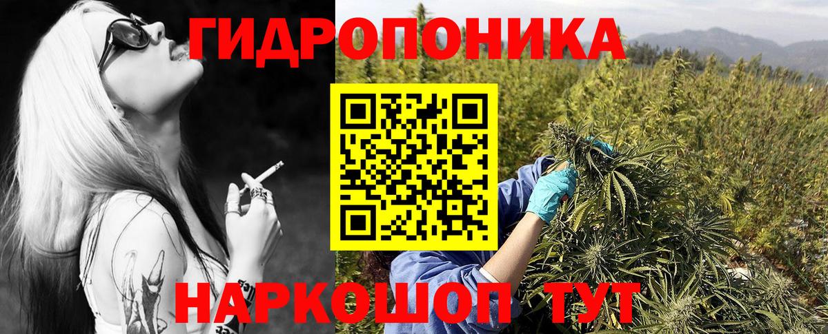 Бошки марихуана семена  Марихуана LSD WEED  Вход с VPN  Реж  Бошки марихуана OG Kush  Бошки марихуана сатива 